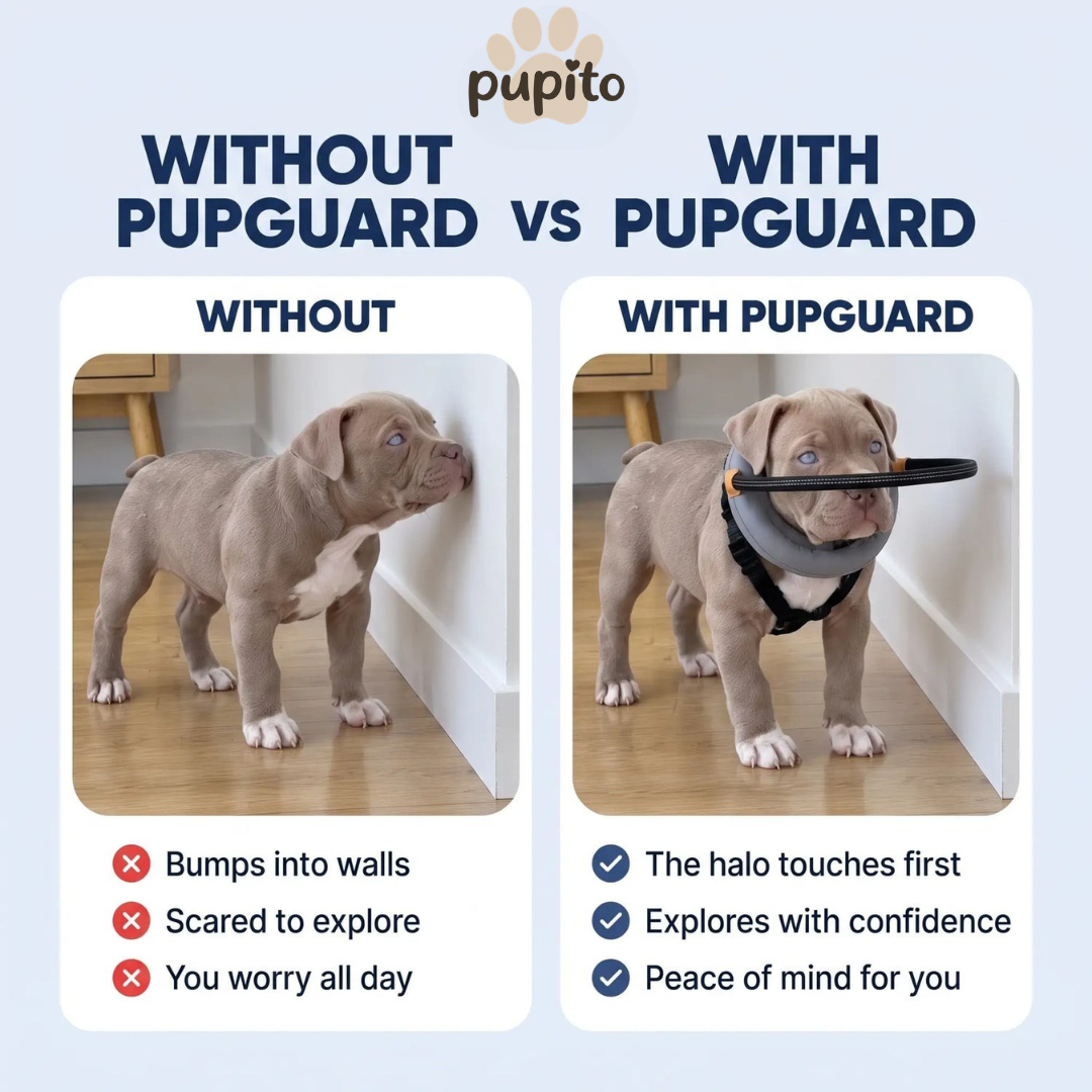 Pupito™ Blinder-Hunde-Halo