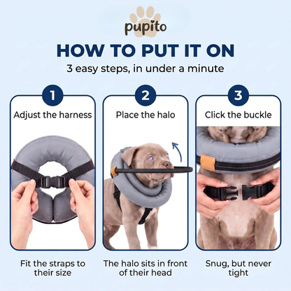 Pupito™ Blinder-Hunde-Halo