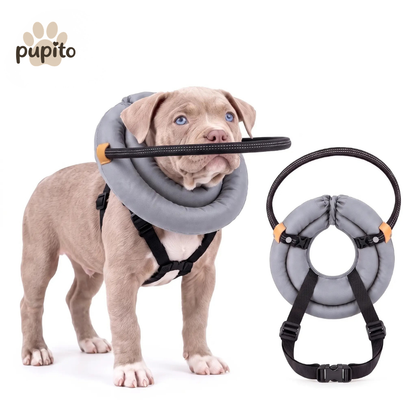 Pupito™ Blinder-Hunde-Halo