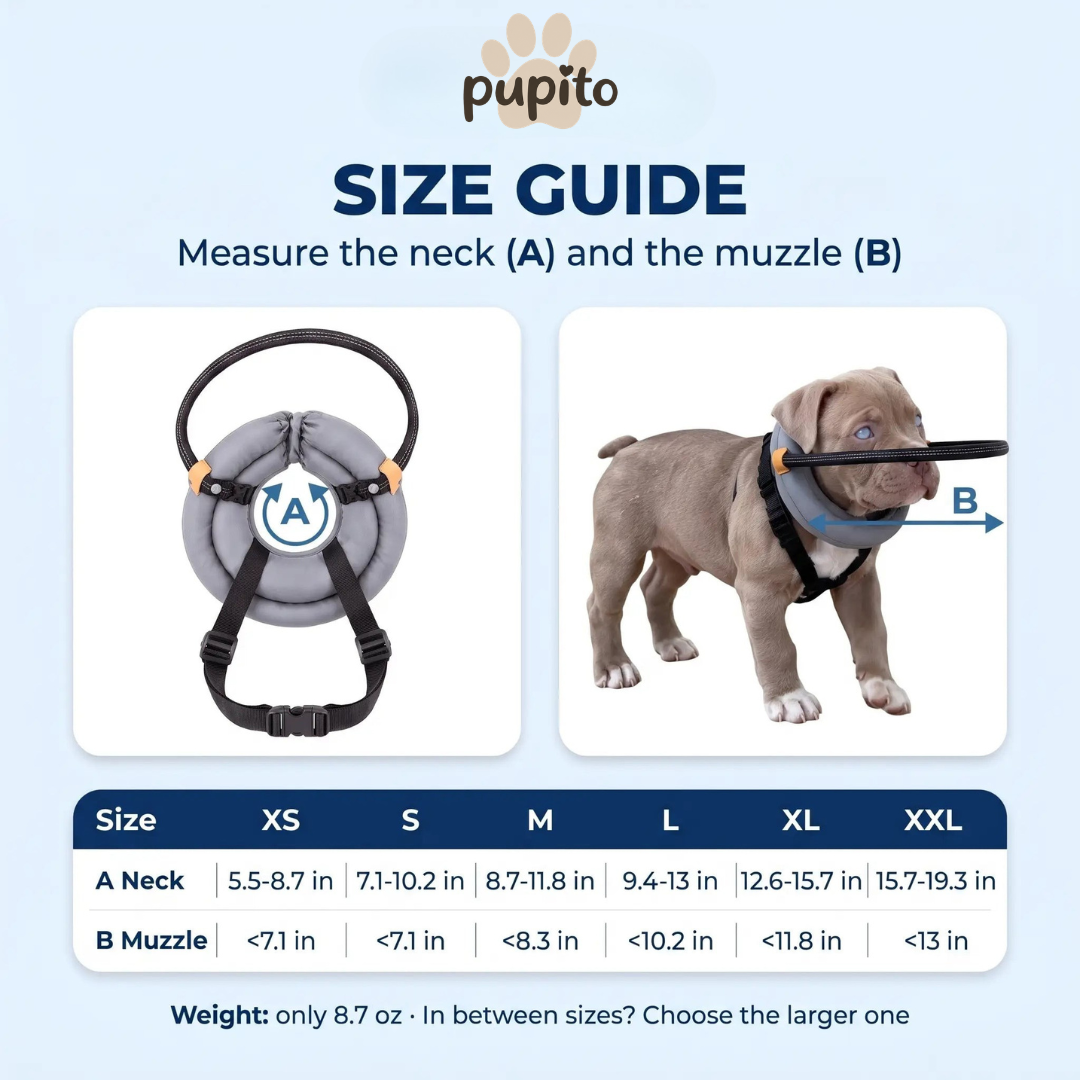 Pupito™ Blinder-Hunde-Halo